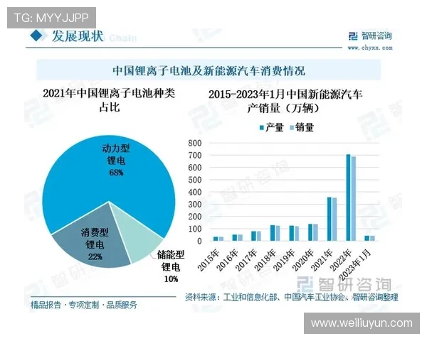 开云网址入口优化建议及未来发展趋势分析报告