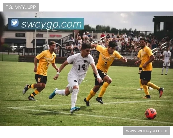 开云电竞官网为电竞爱好者打造的专业赛事直播与互动交流平台