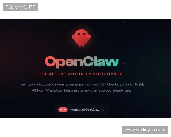开云真人怎么玩最容易上手新手入门全流程详细指南 开云真人怎么玩最容易上手新手入门全流程详细指南