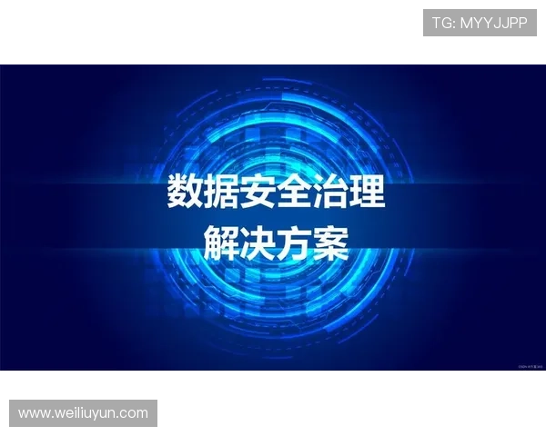 掌握开云电子登录技巧,确保数据安全与隐私保护